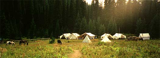 Morning in Camp